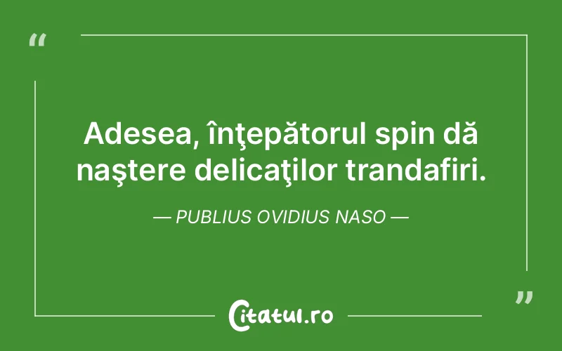 Citat Publius Ovidius Naso - citate viata