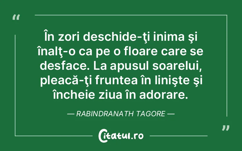 Citat Rabindranath Tagore - citate viata