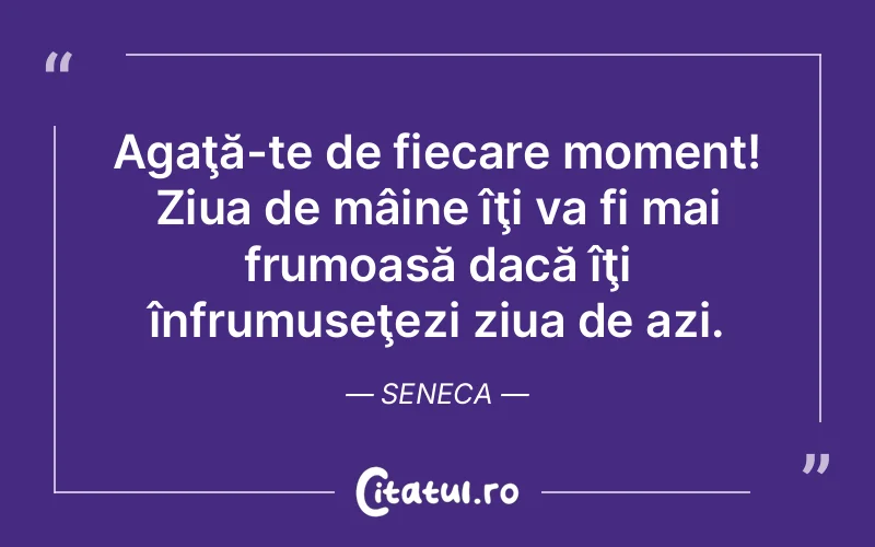 Citat Seneca - citate viata
