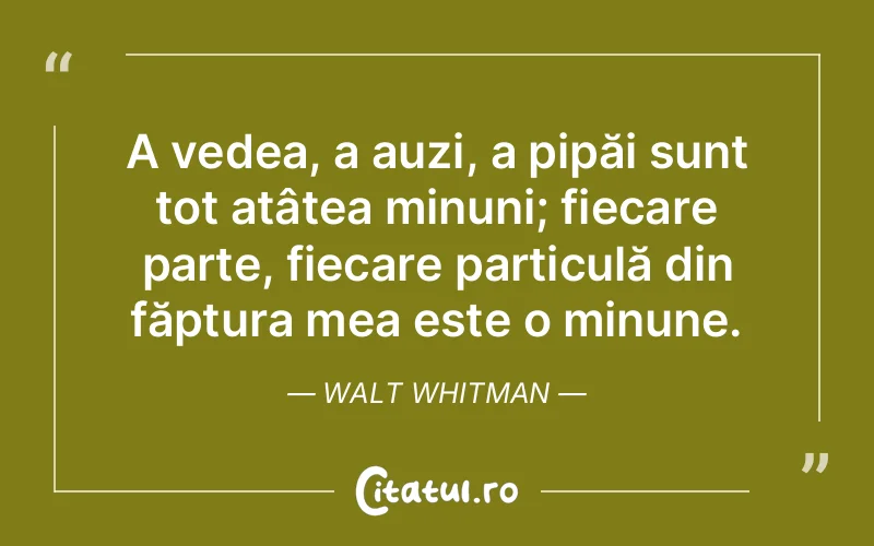 Citat Walt Whitman - citate viata