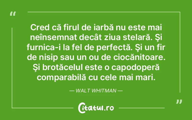 Citat Autor necunoscut - citate viata