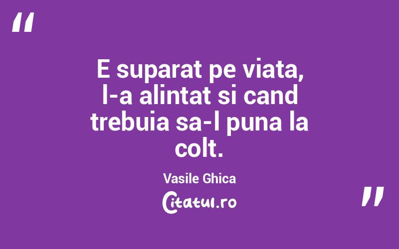E suparat pe viata, l-a alintat si cand trebuia sa-l puna la colt. Vasile Ghica