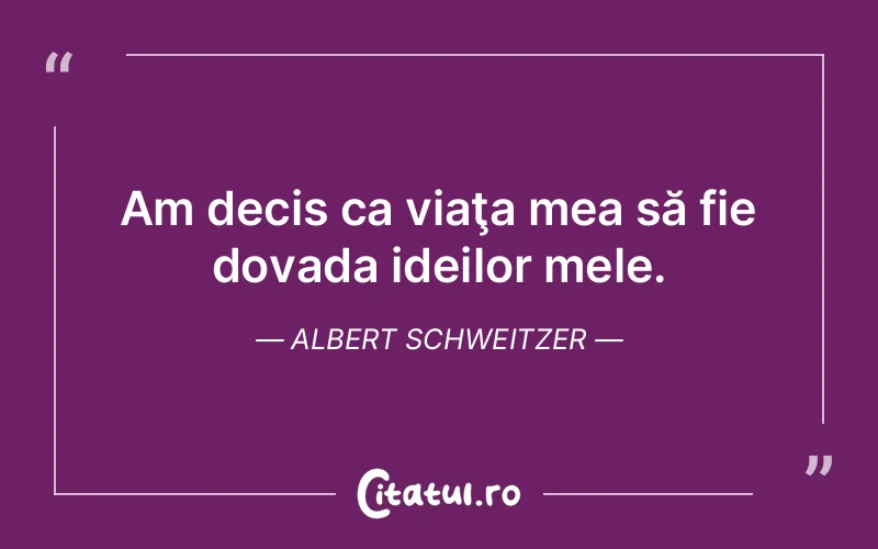 Citat Albert Schweitzer - citate viata