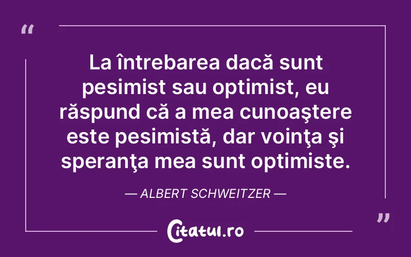 Citat Albert Schweitzer - citate viata