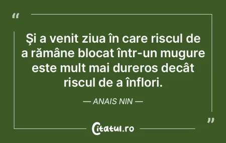 Acest jurnal este legătura mea, pipa me...