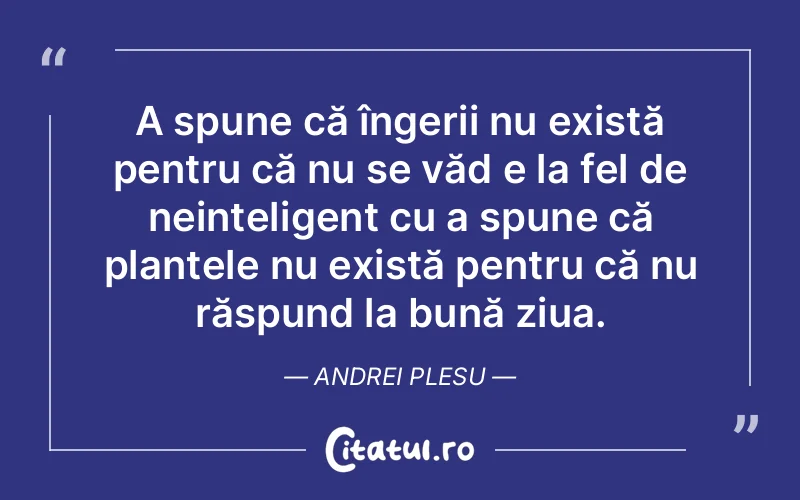 Citat Andrei Plesu - citate viata
