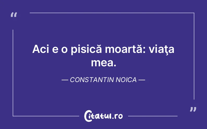 Citat Constantin Noica - citate viata