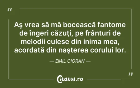 Nenorocirea mea e că nu sunt capabil de...