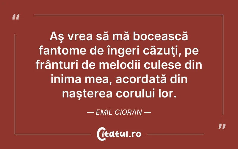 Citat Emil Cioran - citate viata