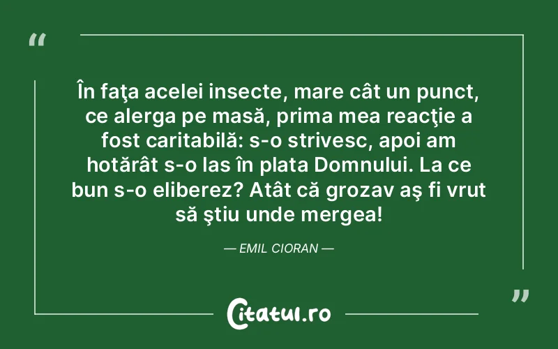 Citat Autor necunoscut - citate viata