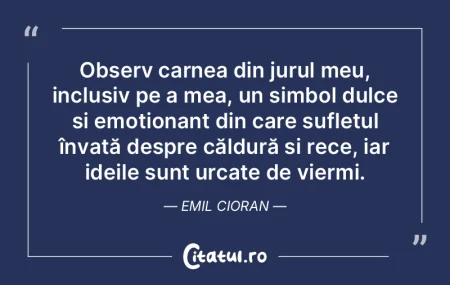Am trecut pe lângă extaz, ba chiar l-a...