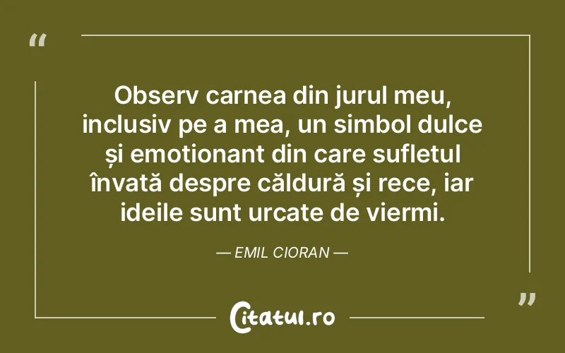Citat Emil Cioran - citate viata