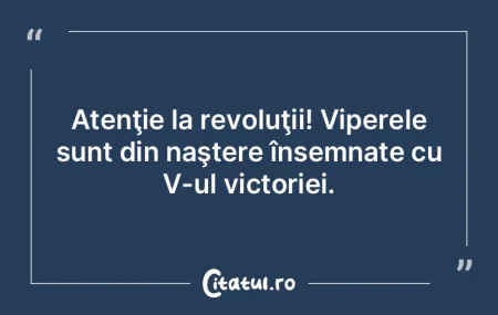 Nu sunt un profesor: doar un tovarăş p...