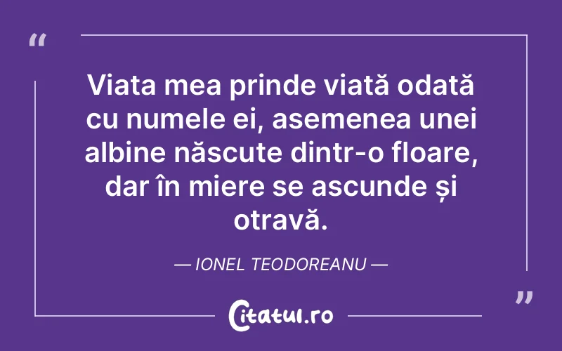 Citat Ionel Teodoreanu - citate viata