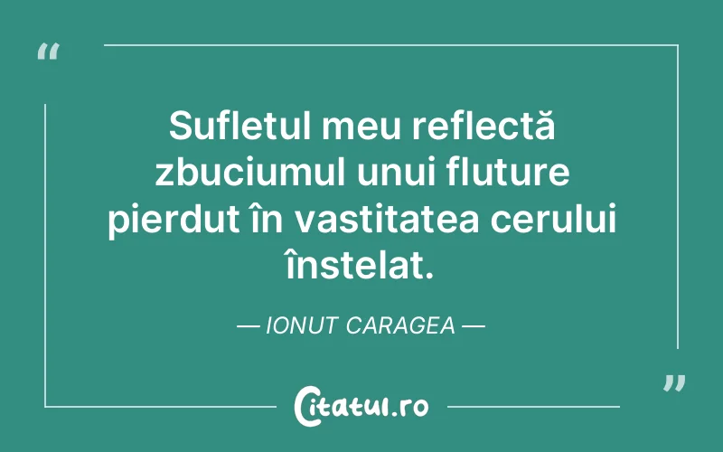Citat Ionut Caragea - citate viata