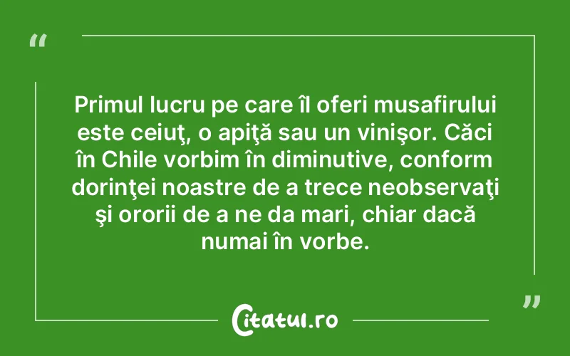 Primul lucru pe care îl oferi musafirului este ceiuţ, o apiţă sau un vinişor. Căci în Chile vorbim în diminutive, conform dorinţei noastre de a trece neobservaţi şi ororii de a ne da mari, chiar dacă numai în vorbe.