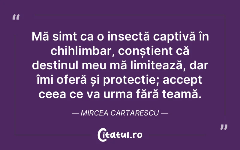Citat Mircea Cartarescu - citate viata