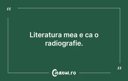 Singurul lucru pe care îl regret este f... Singurul lucru pe care îl regret este f...