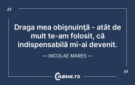 Ceea ce maică-mea credea despre gătit:...