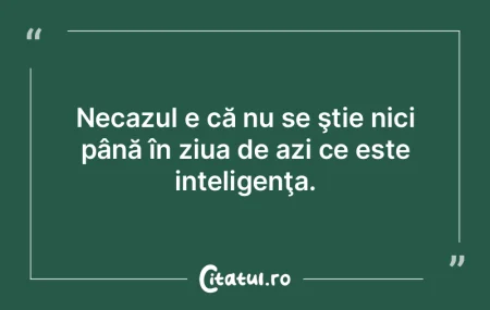 Puteţi, în accepţiunea mea, să nu pl...