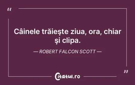 Nu sunt un pesimist, aşa cum spun unii.... Nu sunt un pesimist, aşa cum spun unii....