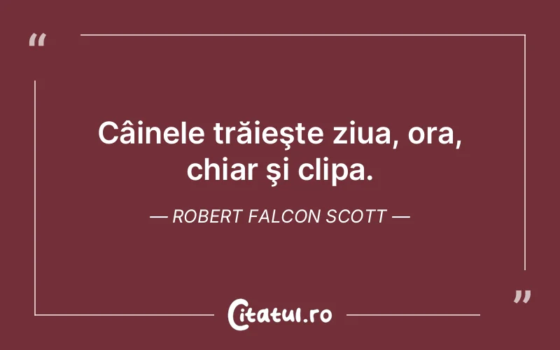 Citat Robert Falcon Scott - citate viata