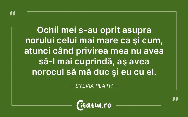 Citat Sylvia Plath - citate viata