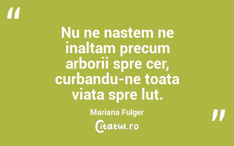 Nu ne nastem ne inaltam precum arborii spre cer, curbandu-ne toata viata spre lut. Mariana Fulger