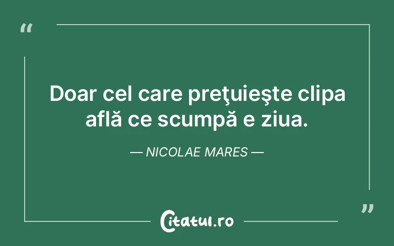 Citat Nicolae Mares - citate viata