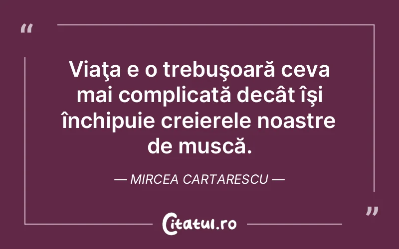 Citat Mircea Cartarescu - citate viata