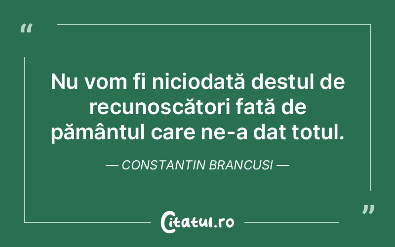 Citat Constantin Brancusi - citate viata
