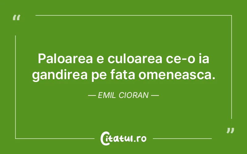 Citat Emil Cioran - citate viata