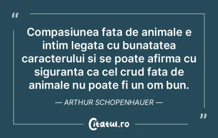 Mi se pare ca supunerea fata de guvern s... Mi se pare ca supunerea fata de guvern s...