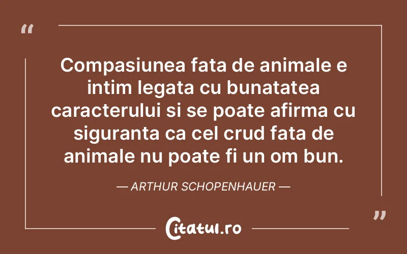 Citat Arthur Schopenhauer - citate viata