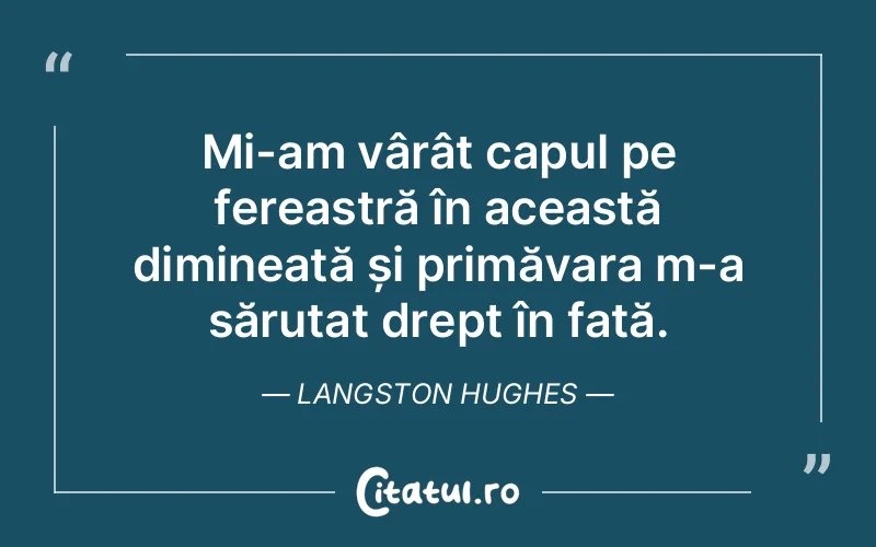 Citat Langston Hughes - citate viata