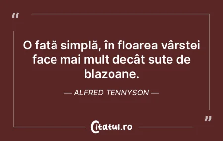 În faţa unei taine prea copleşitoare,...