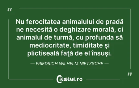 Suntem mai grosolani, mai direcţi, plin... Suntem mai grosolani, mai direcţi, plin...