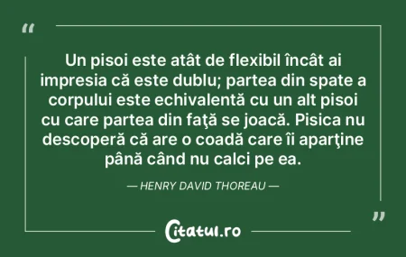 Cât de monotonă ar fi faţa pământul... Cât de monotonă ar fi faţa pământul...