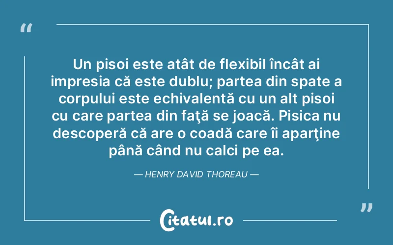 Un pisoi este atât de flexibil încât ai impresia că este dublu; partea din spate a corpului este echivalentă cu un alt pisoi cu care partea din faţă se joacă. Pisica nu descoperă că are o coadă care îi aparţine până când nu calci pe ea. Henry David Thoreau