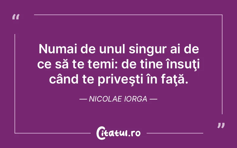 Citat Nicolae Iorga - citate viata