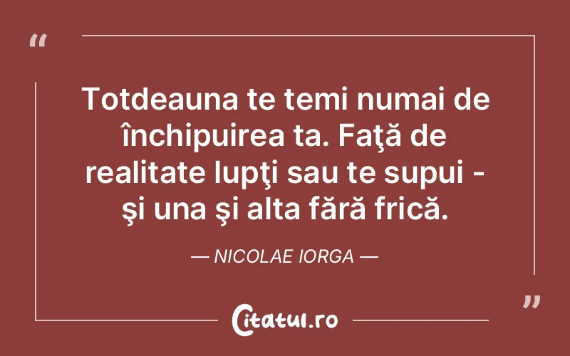 Citat Nicolae Iorga - citate viata