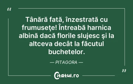 Nu urma pilda omizii: nu primi să te tÃ... Nu urma pilda omizii: nu primi să te tÃ...