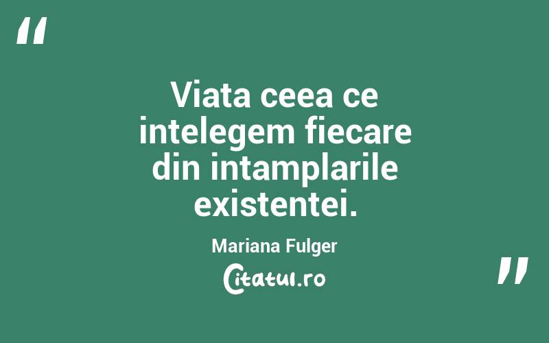 Viata ceea ce intelegem fiecare din intamplarile existentei. Mariana Fulger
