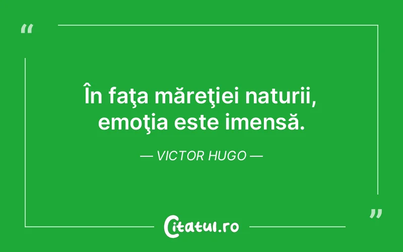 Citat Victor Hugo - citate viata
