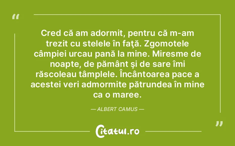 Citat Autor necunoscut - citate viata