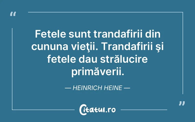 Citat Heinrich Heine - citate viata