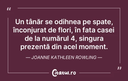 Adesea soţii Dursley obişnuiau să vor... Adesea soţii Dursley obişnuiau să vor...