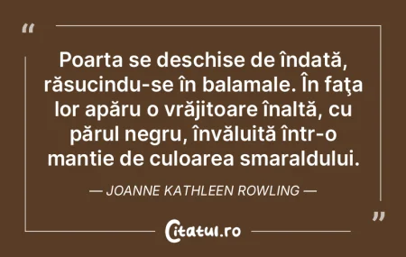 Este foarte periculos să ieşi pe uşa ... Este foarte periculos să ieşi pe uşa ...