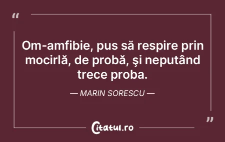 Ochii mi s-au obişnuit cu întunericul ... Ochii mi s-au obişnuit cu întunericul ...