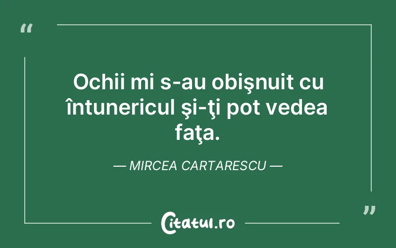 Citat Mircea Cartarescu - citate viata